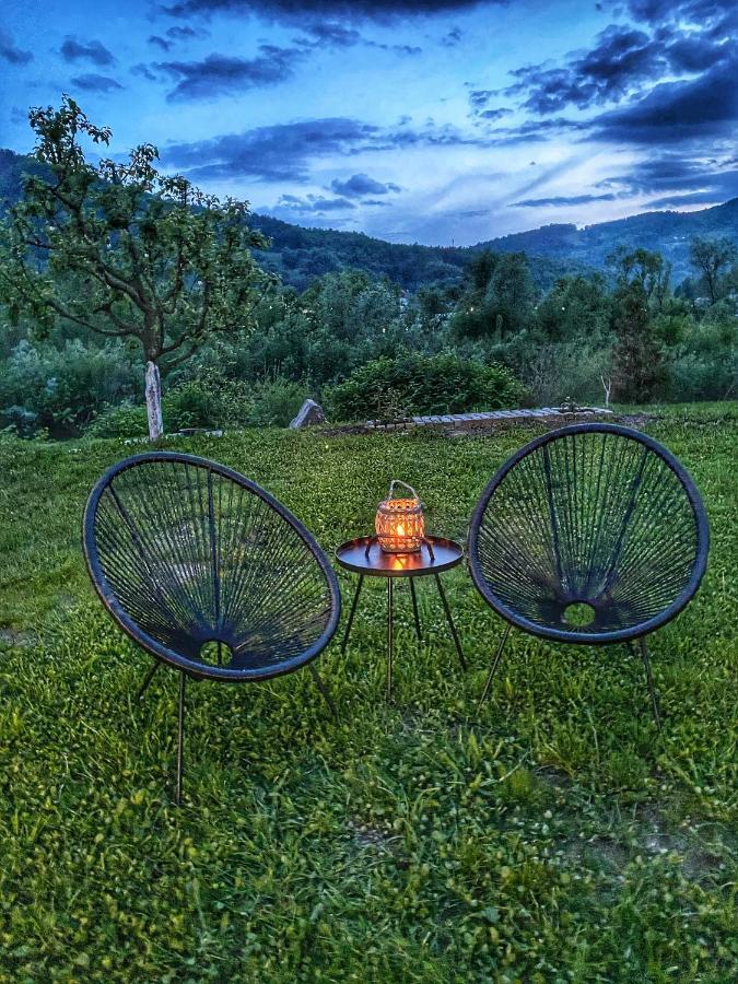 ホテル Casa Chira Vişeu de Sus エクステリア 写真