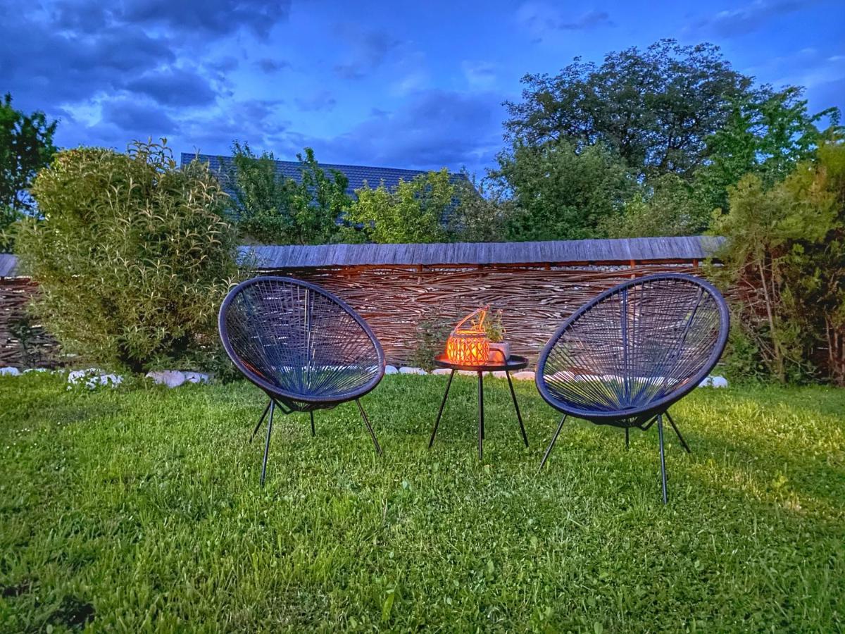 ホテル Casa Chira Vişeu de Sus エクステリア 写真