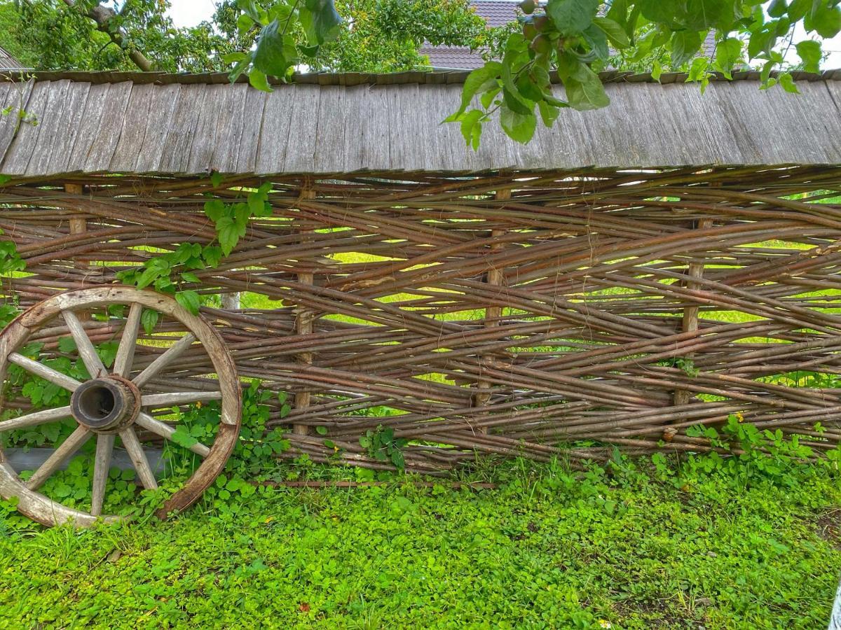 ホテル Casa Chira Vişeu de Sus エクステリア 写真