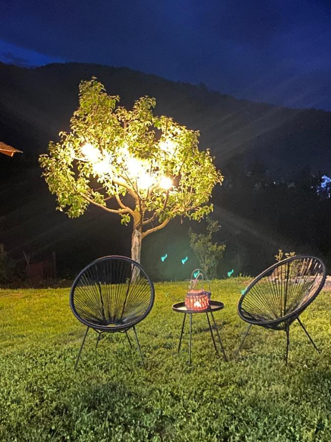 ホテル Casa Chira Vişeu de Sus エクステリア 写真