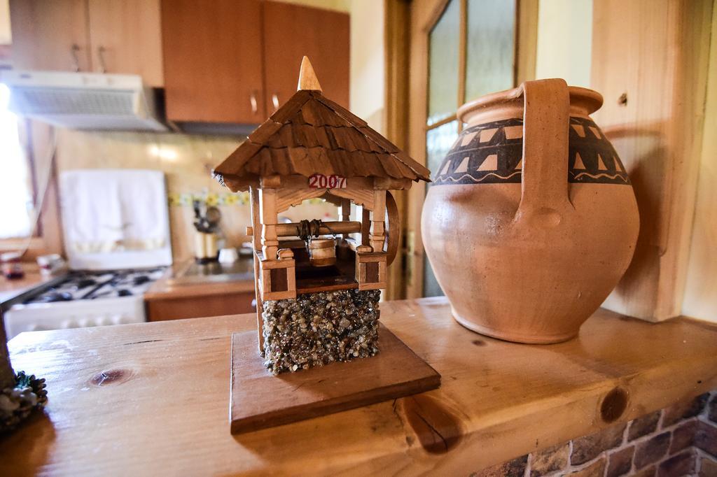 ホテル Casa Chira Vişeu de Sus エクステリア 写真
