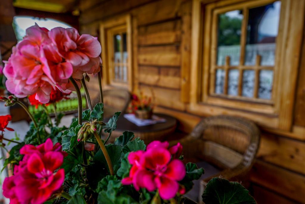 ホテル Casa Chira Vişeu de Sus エクステリア 写真