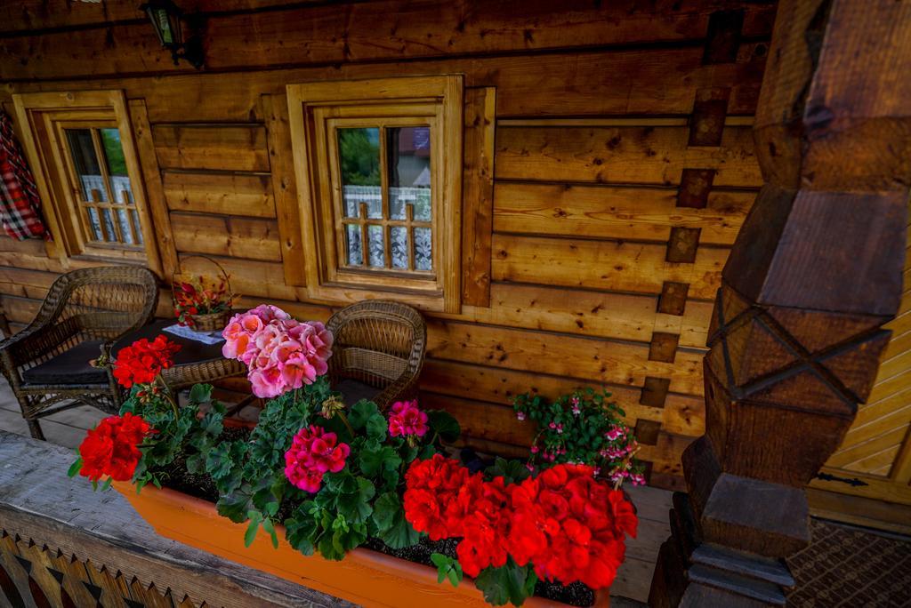 ホテル Casa Chira Vişeu de Sus エクステリア 写真