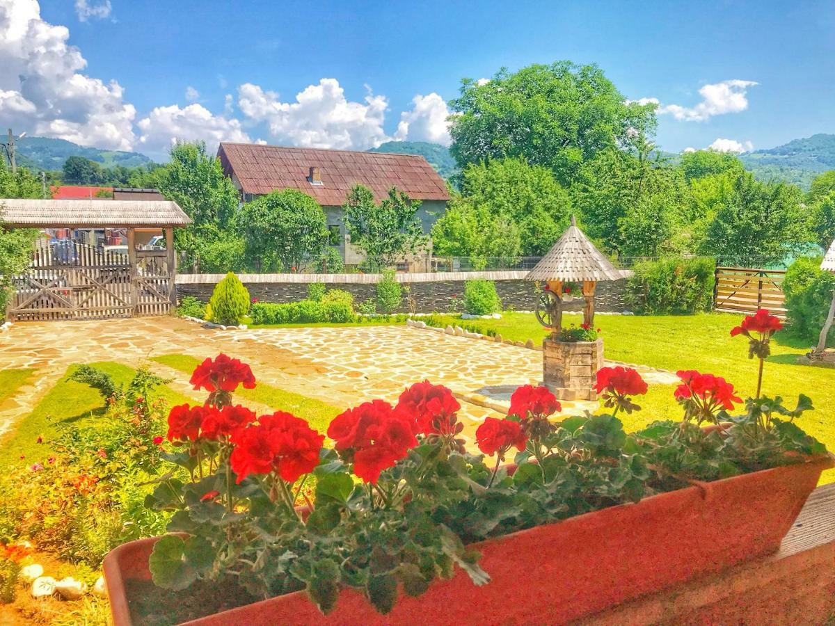 ホテル Casa Chira Vişeu de Sus エクステリア 写真